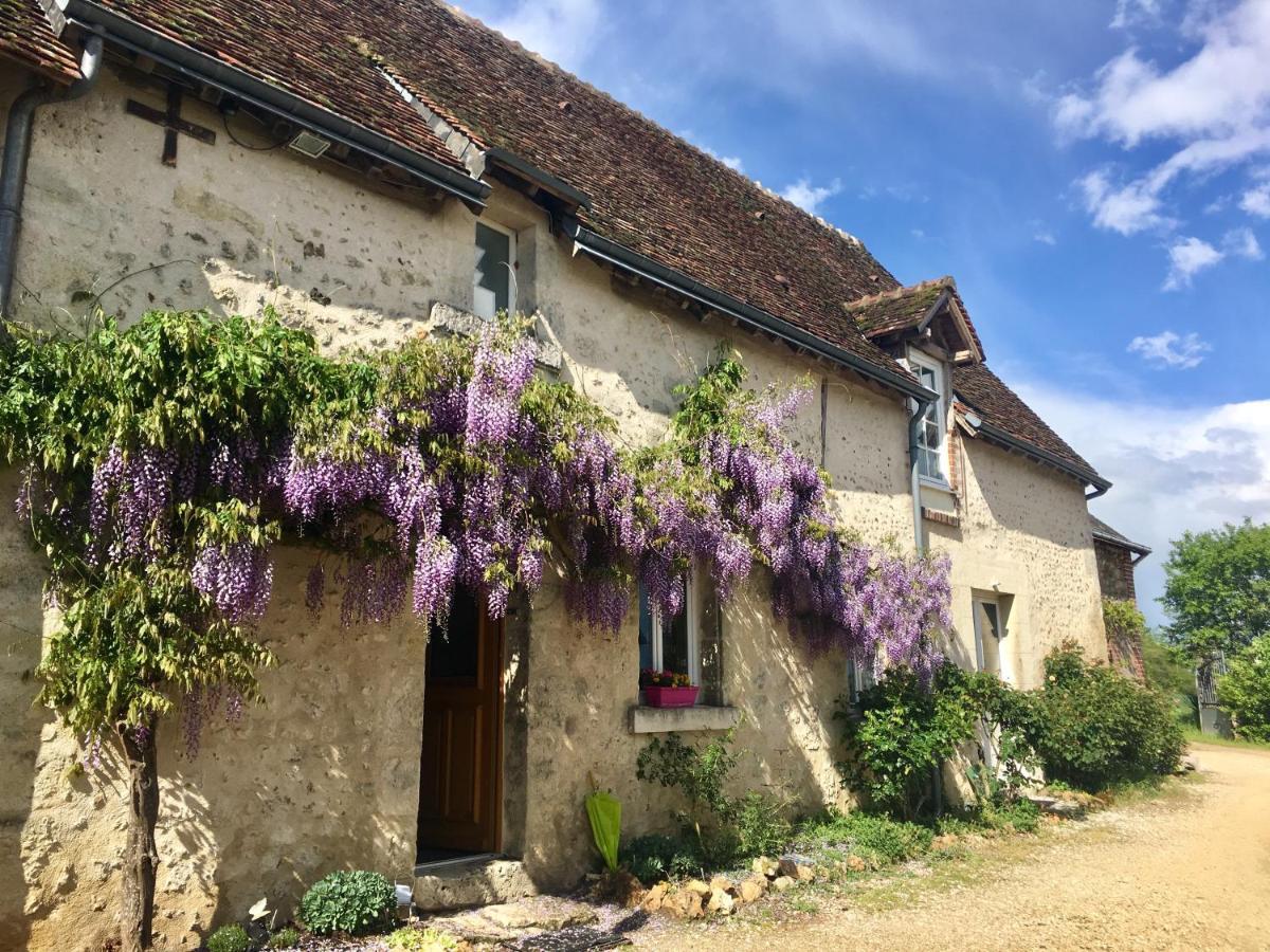 Le Grand Coudreau Bed & Breakfast Nazelles-Negron Exterior foto